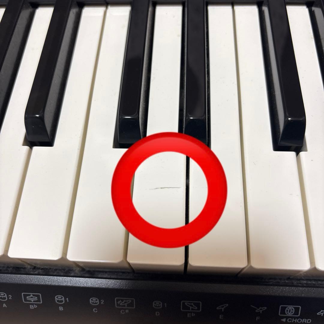 鍵盤楽器 CASIO CTK-2200