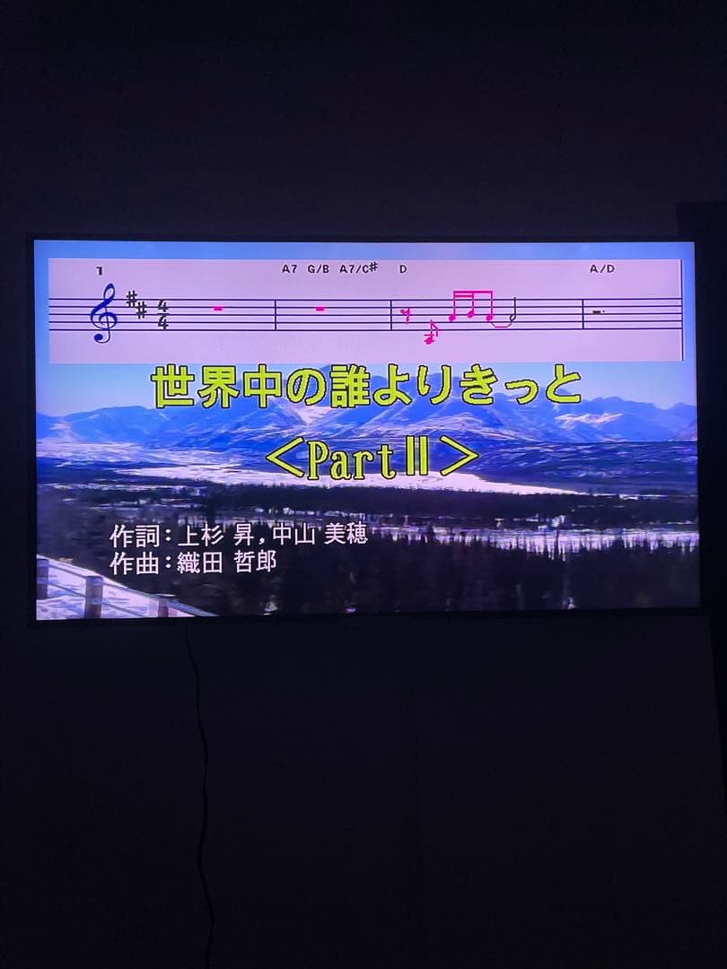 オンステージ　カラオケ　Z-PK900W 850曲内蔵　追加チップ付き　電池付き