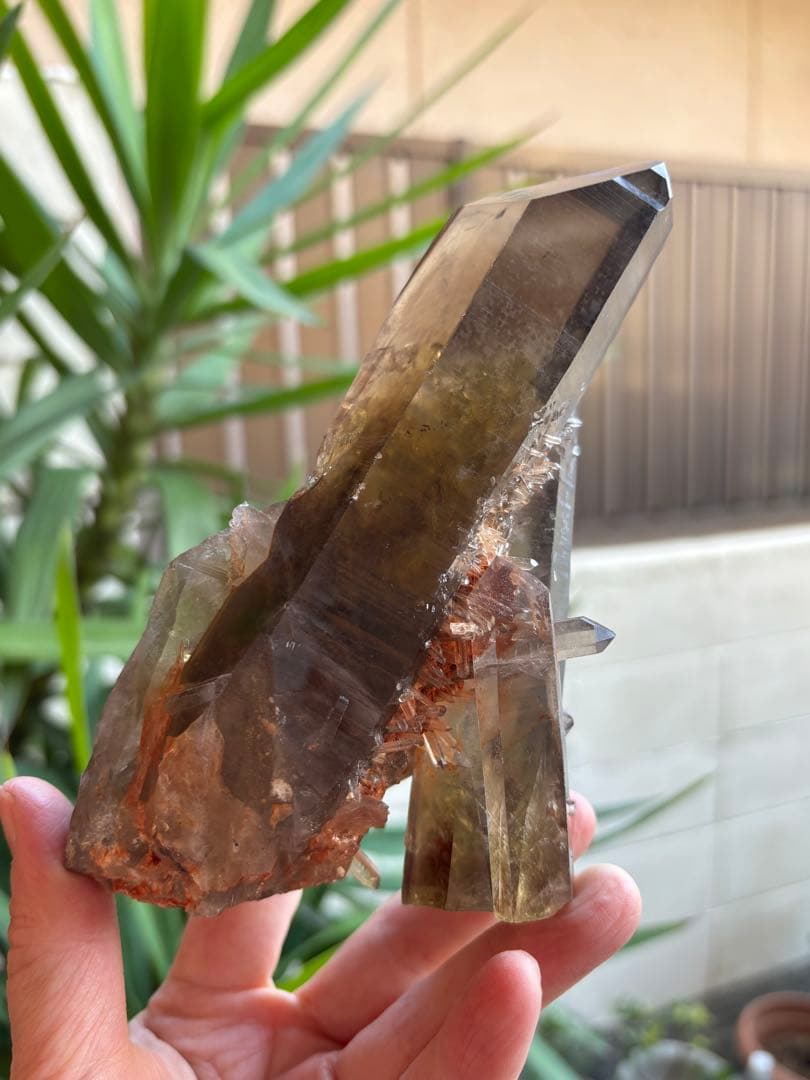 天然シトリン　クラスター　スモーキーシトリン　ゼウス　ファントム　696g