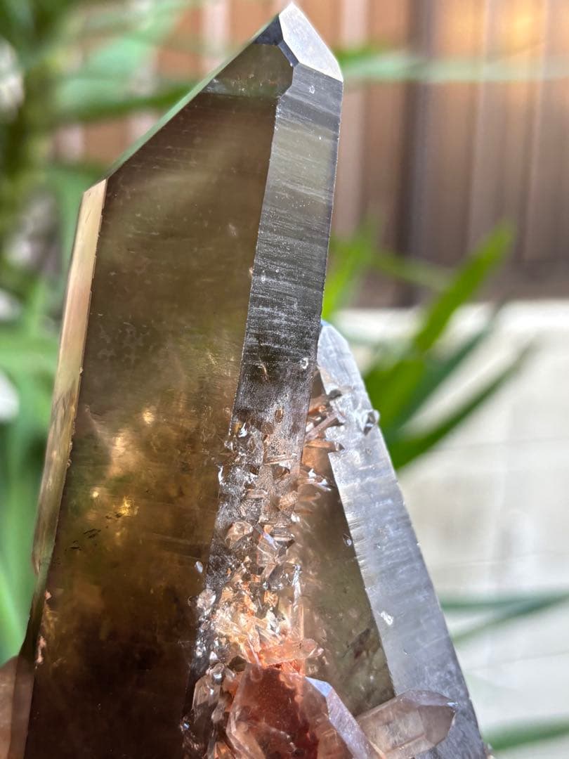 天然シトリン　クラスター　スモーキーシトリン　ゼウス　ファントム　696g