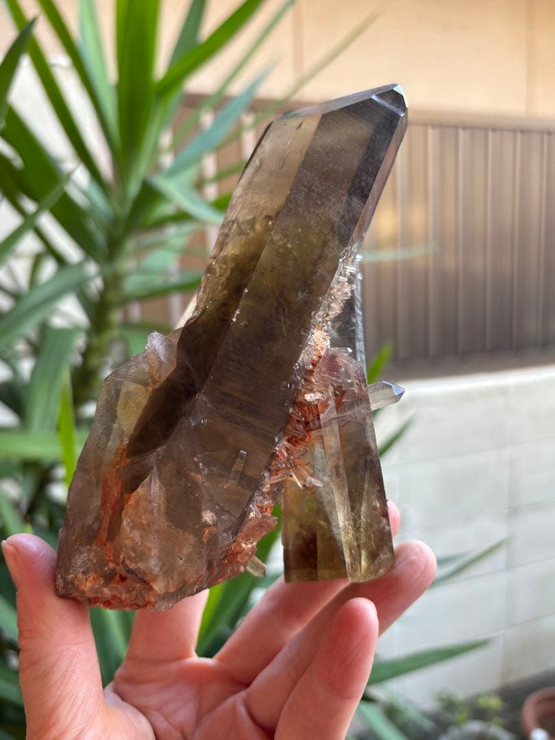 天然シトリン　クラスター　スモーキーシトリン　ゼウス　ファントム　696g