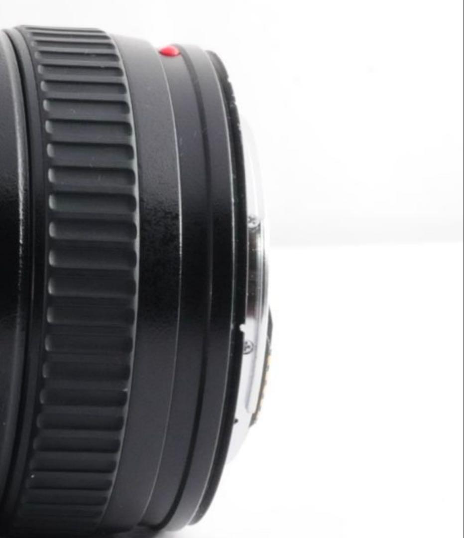 Canon EF 17-40mm F4L USM 広角ズームレンズ