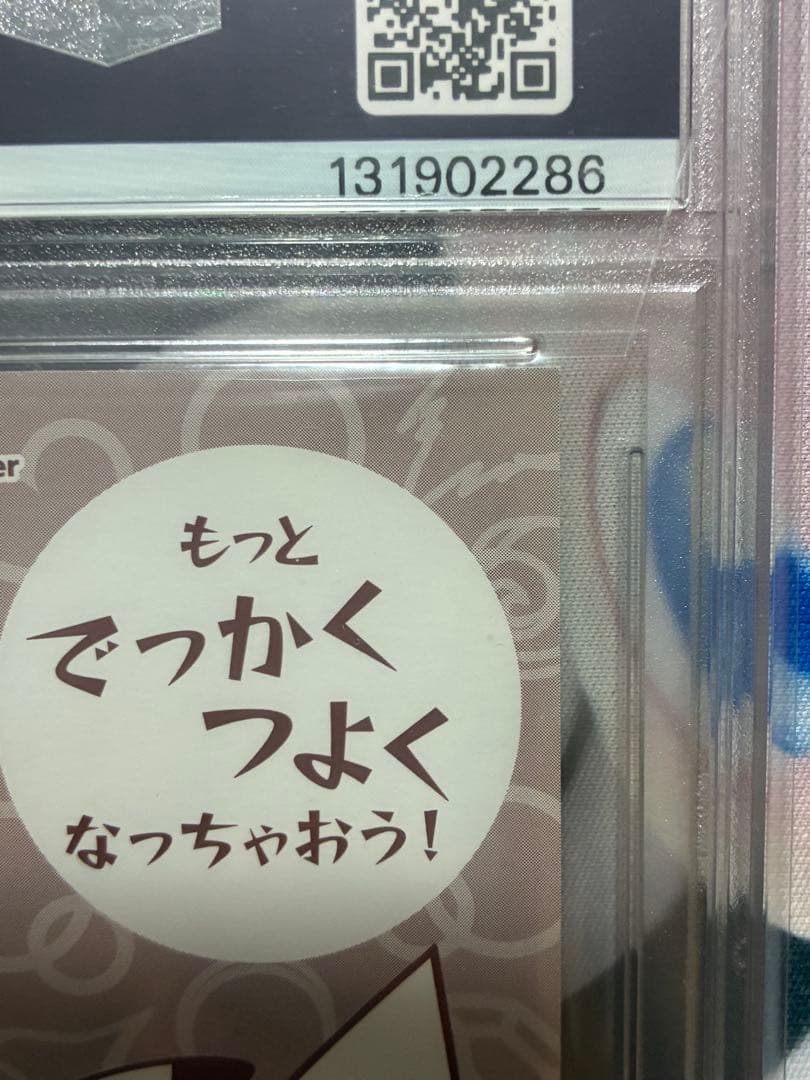 PSA10☆ポンチョを着たピカチュウ★名刺カード メガリザードン X ポンチョ