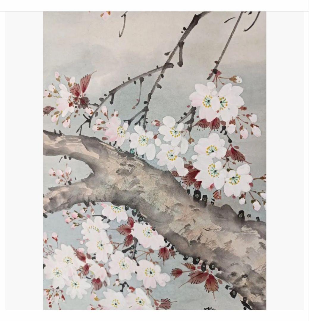 桜 花鳥図 梅甫 掛け軸 縁起物 和室 インテリア