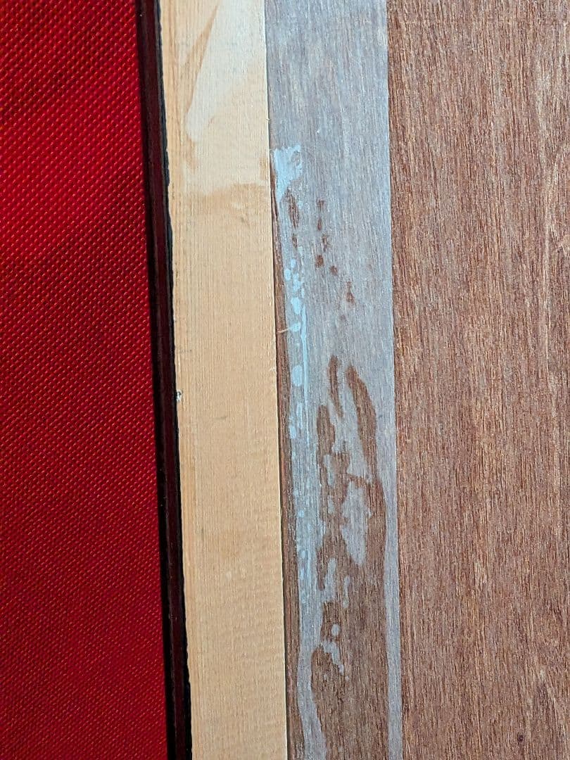 江戸時代後期頃阿波國蔵出狩野派絵師亀絵図墨描き縦４４Ｘ横３２㌢ガラス額装当時物品