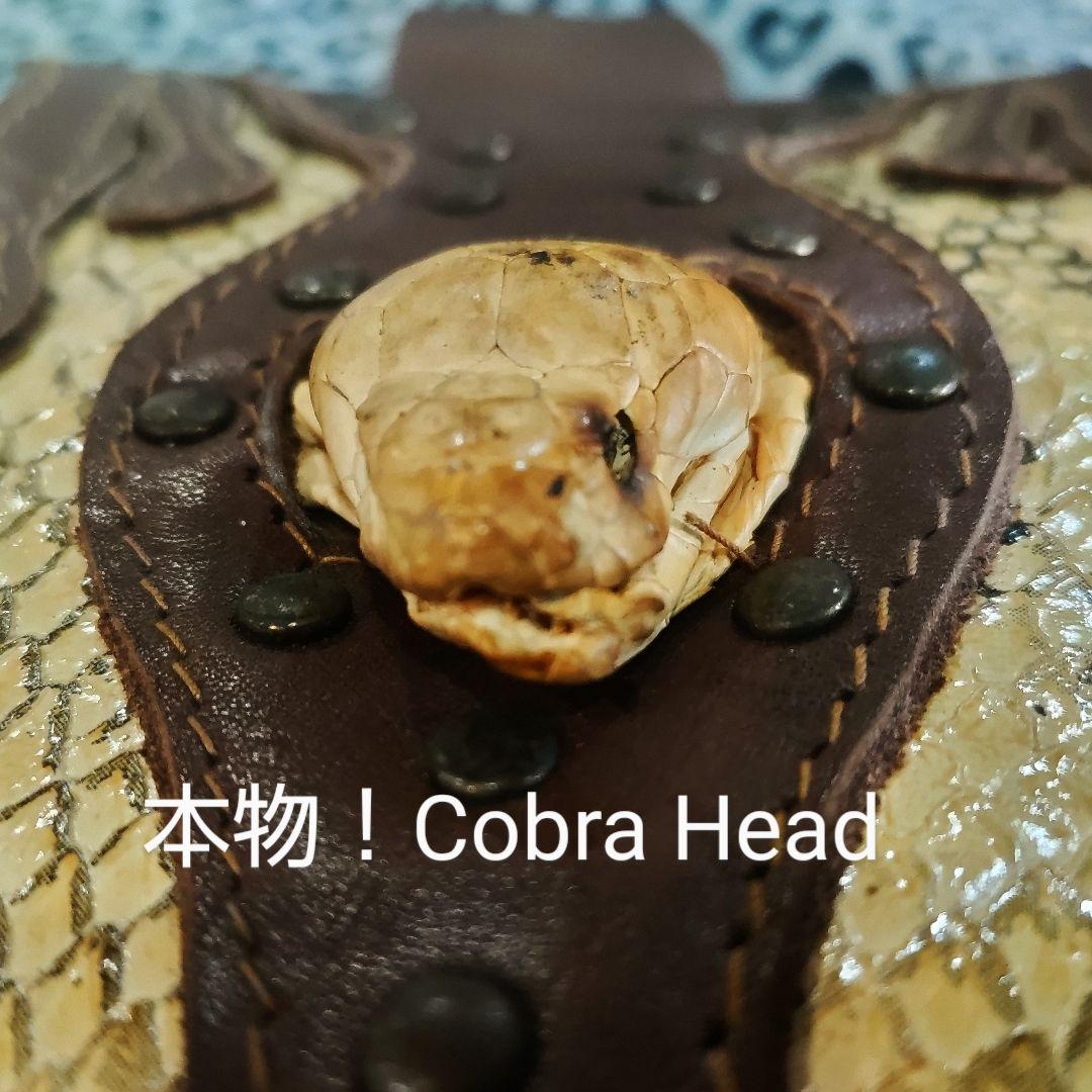 希少！レザー メディスンバッグ 本物コブラヘッド付