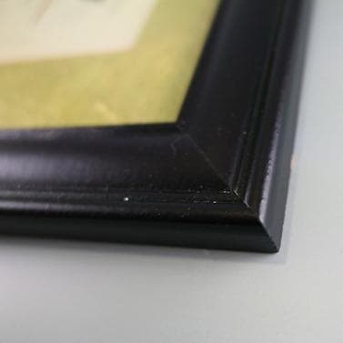 ツバキの額装品（ボタニカルアート）