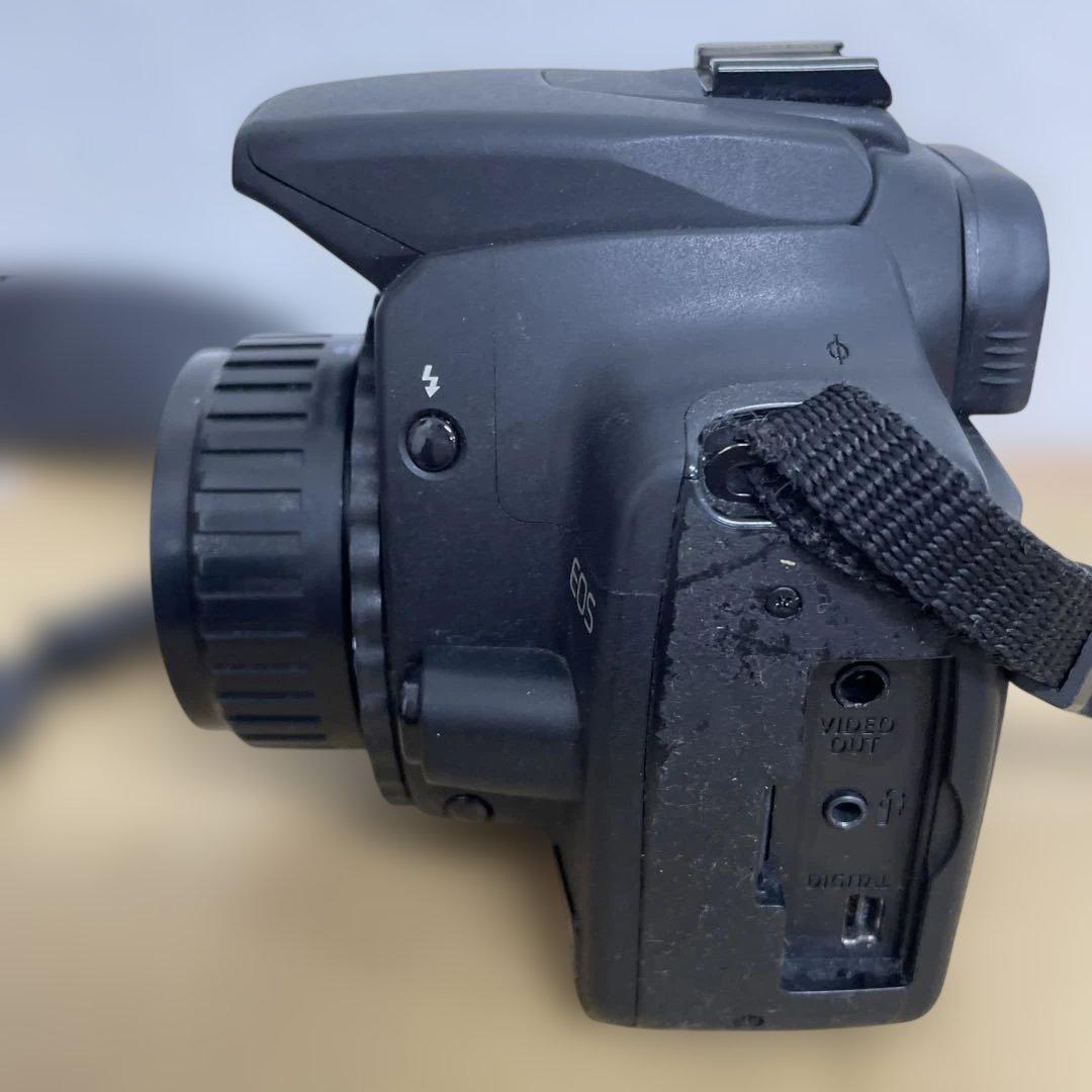 Canon EOS デジタル一眼レフ Holgaレンズ付き