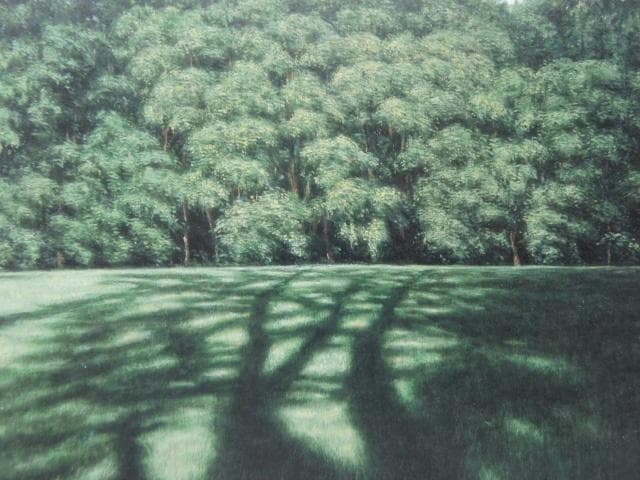 山本貞、【音のない光景】、希少な大判額装用画集より、美品、日本人画家