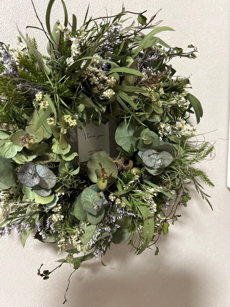 まめ猫様　草木が芽吹く季節に　ユーカリとネイティブフラワーのスワッグとリース