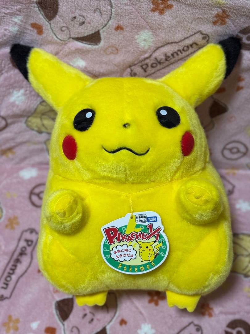 30周年　おかえり！ピカチュウ　おうちにイーブイ　手のひらピカチュウ　即日匿名