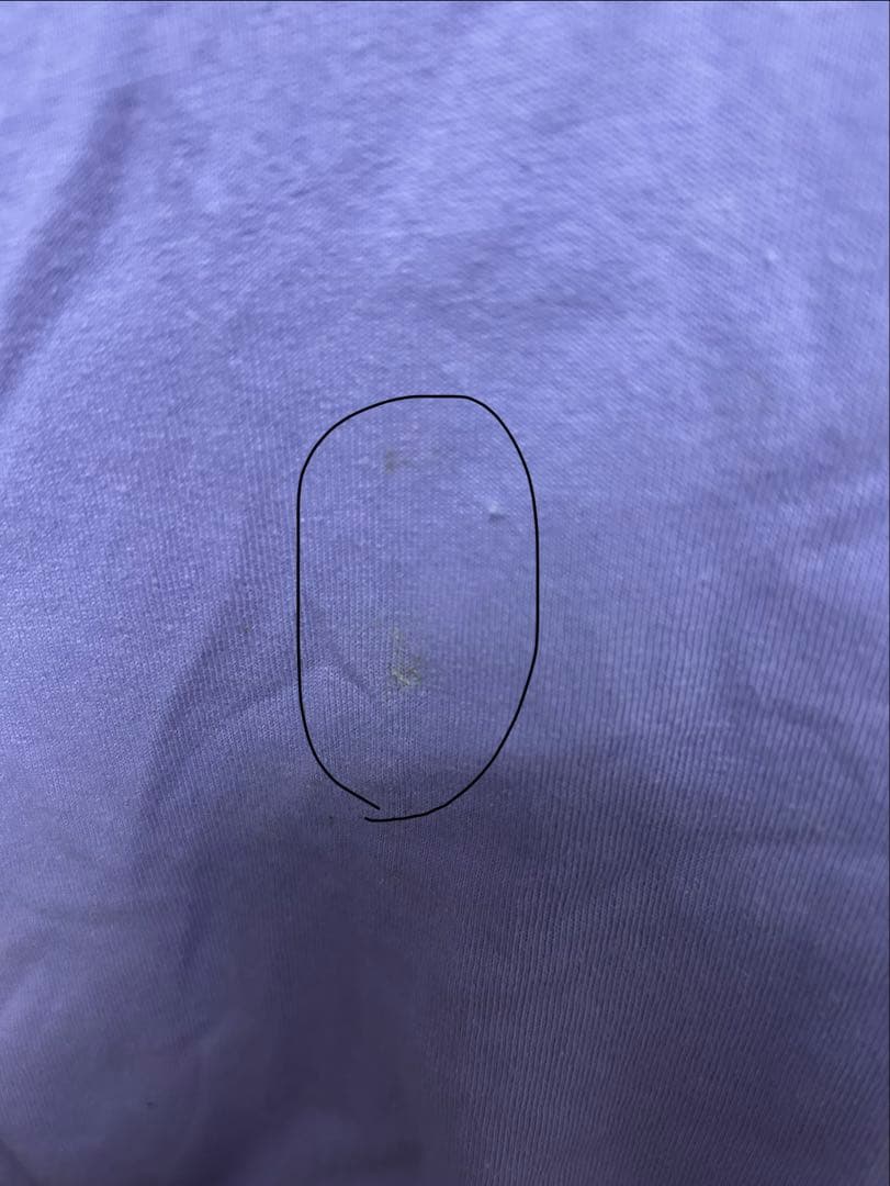 the GazettE パーカー ロンT