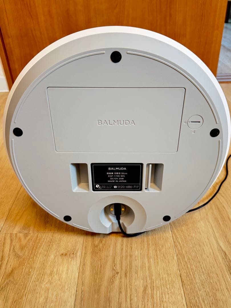 【極美品】BALMUDA バルミューダ The Green Fan 扇風機
