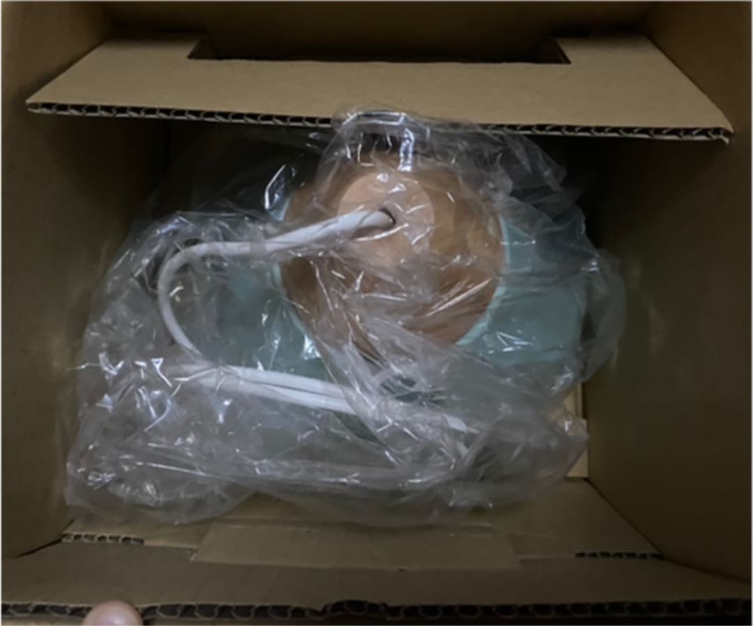 コイズミ　ペンダントライト