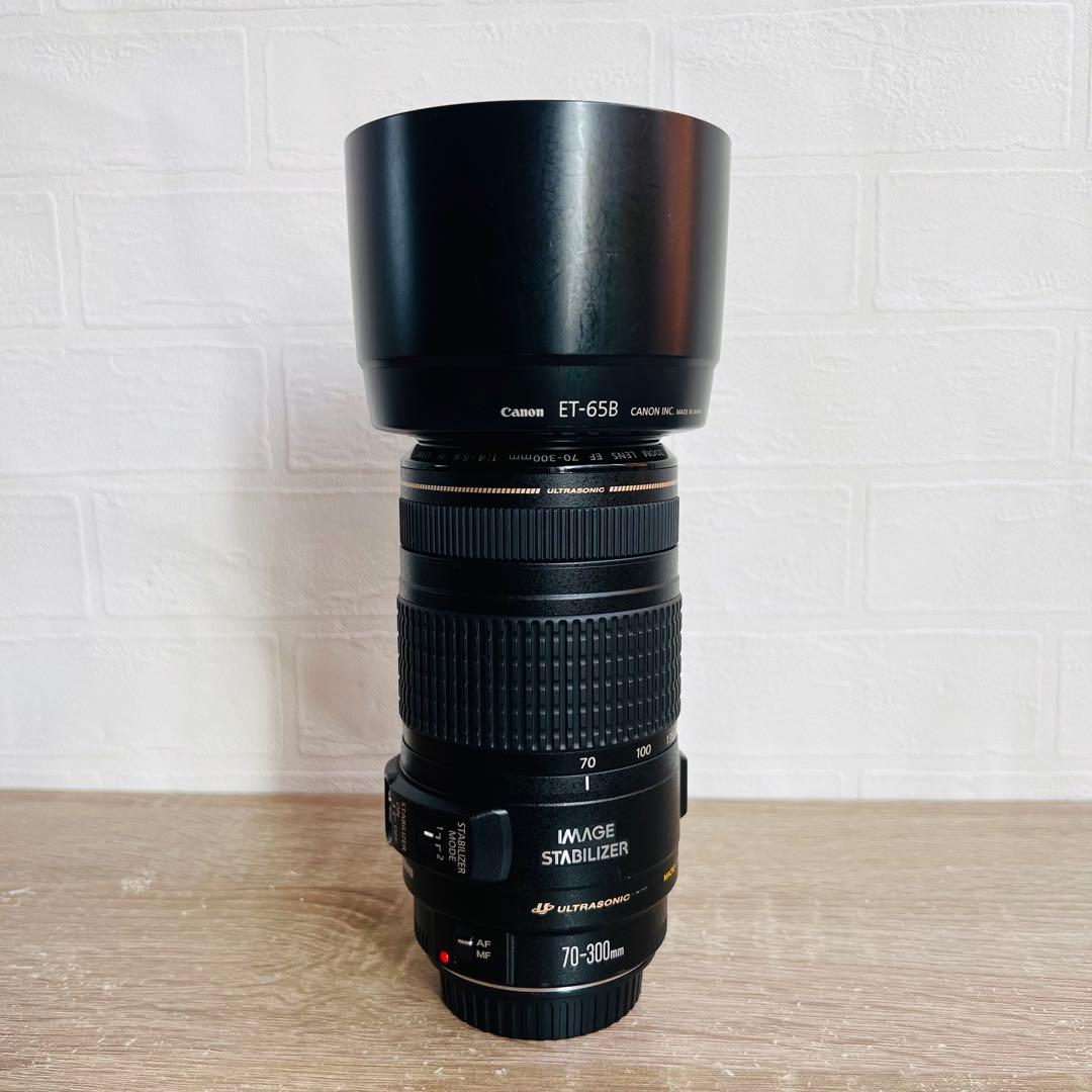 【極美品】キャノン EF 70-300mm F4-5.6 IS USM