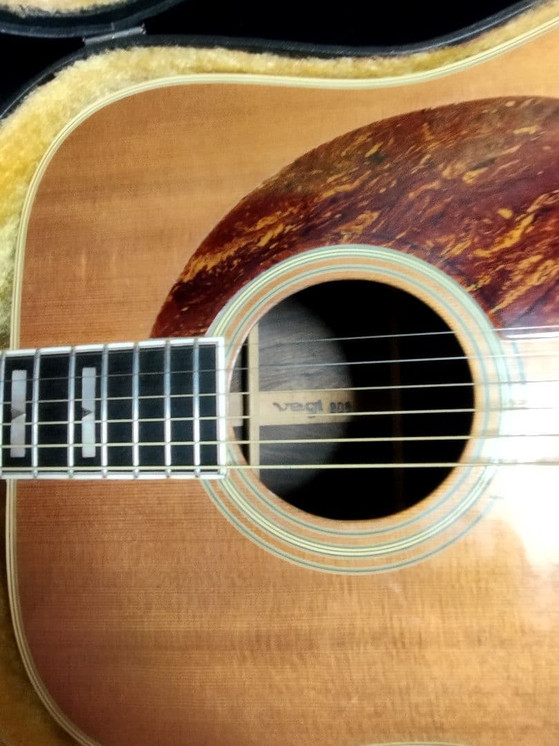 Vagi808　ハカランダ　超レア