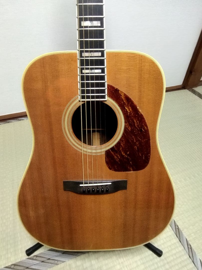 Vagi808　ハカランダ　超レア