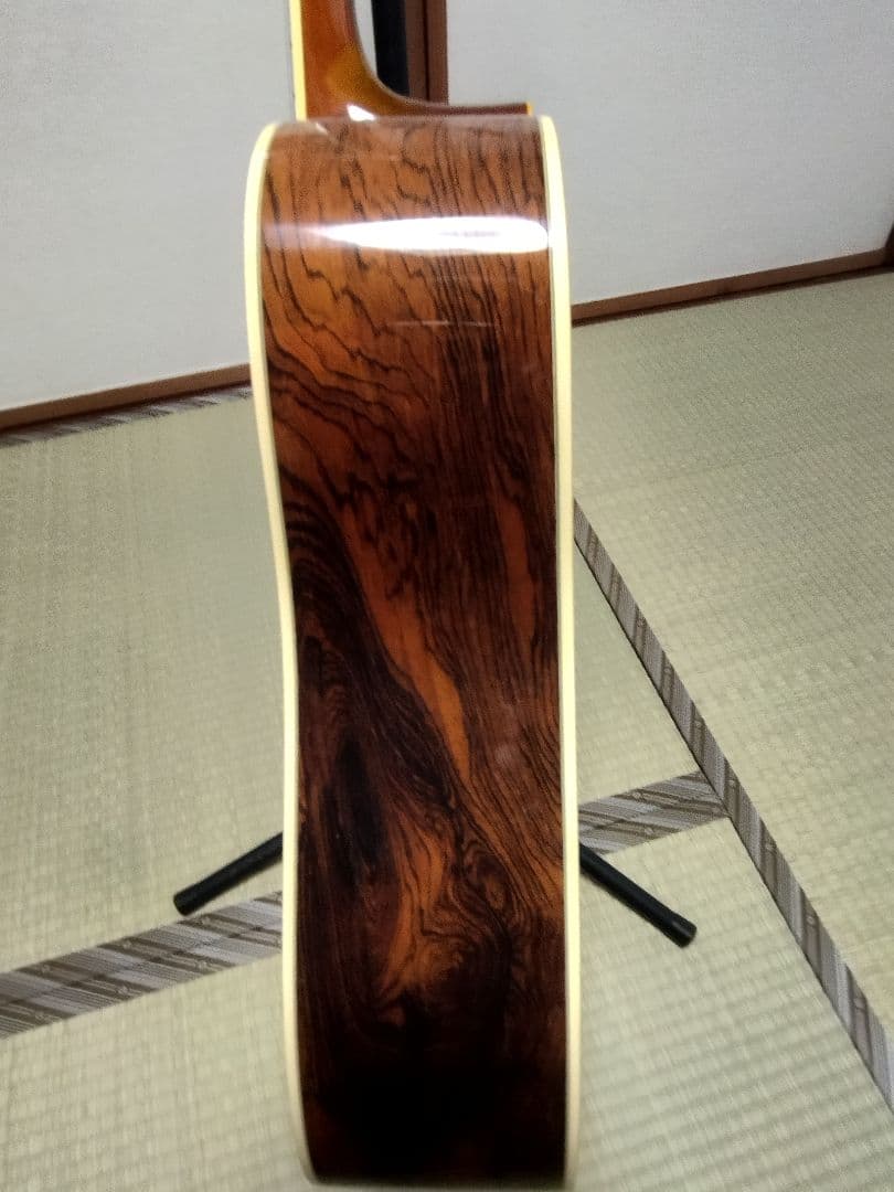 Vagi808　ハカランダ　超レア