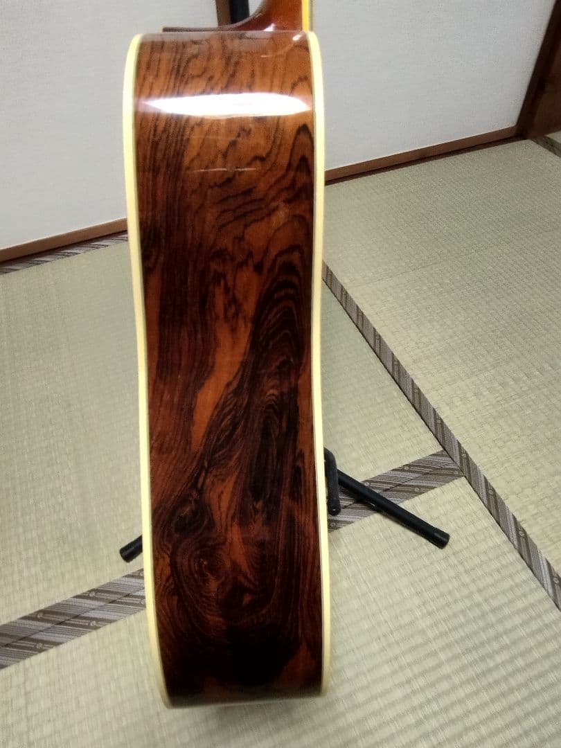 Vagi808　ハカランダ　超レア