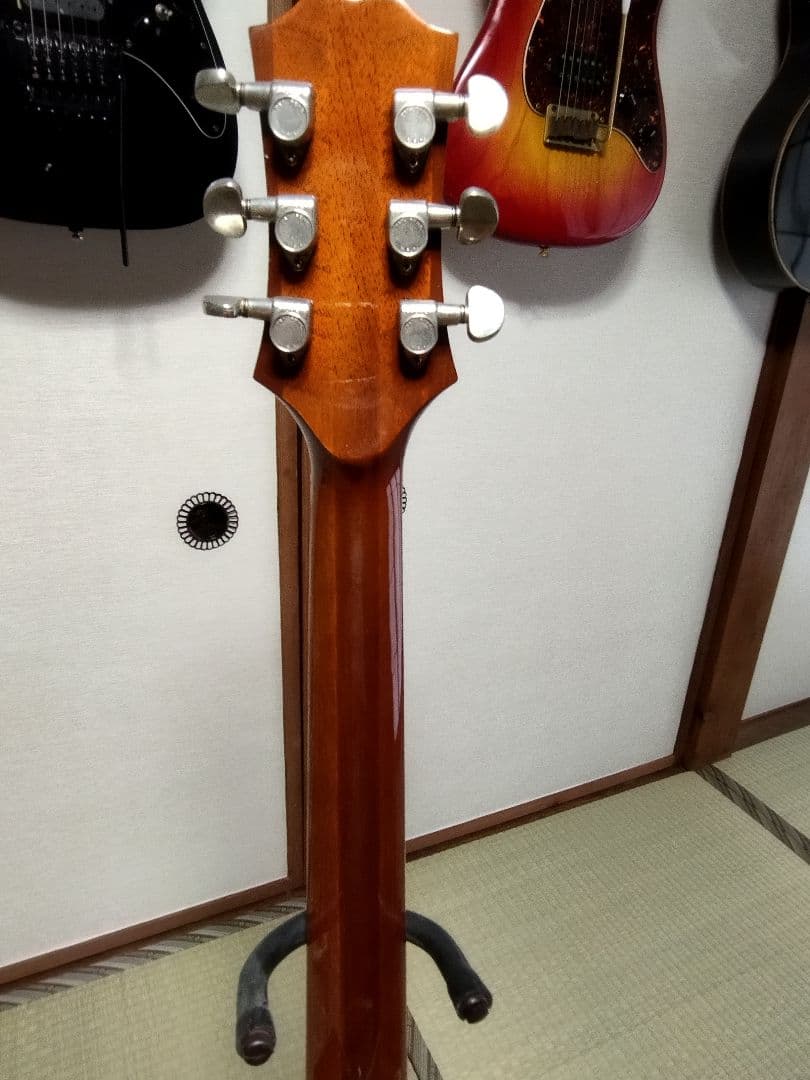 Vagi808　ハカランダ　超レア