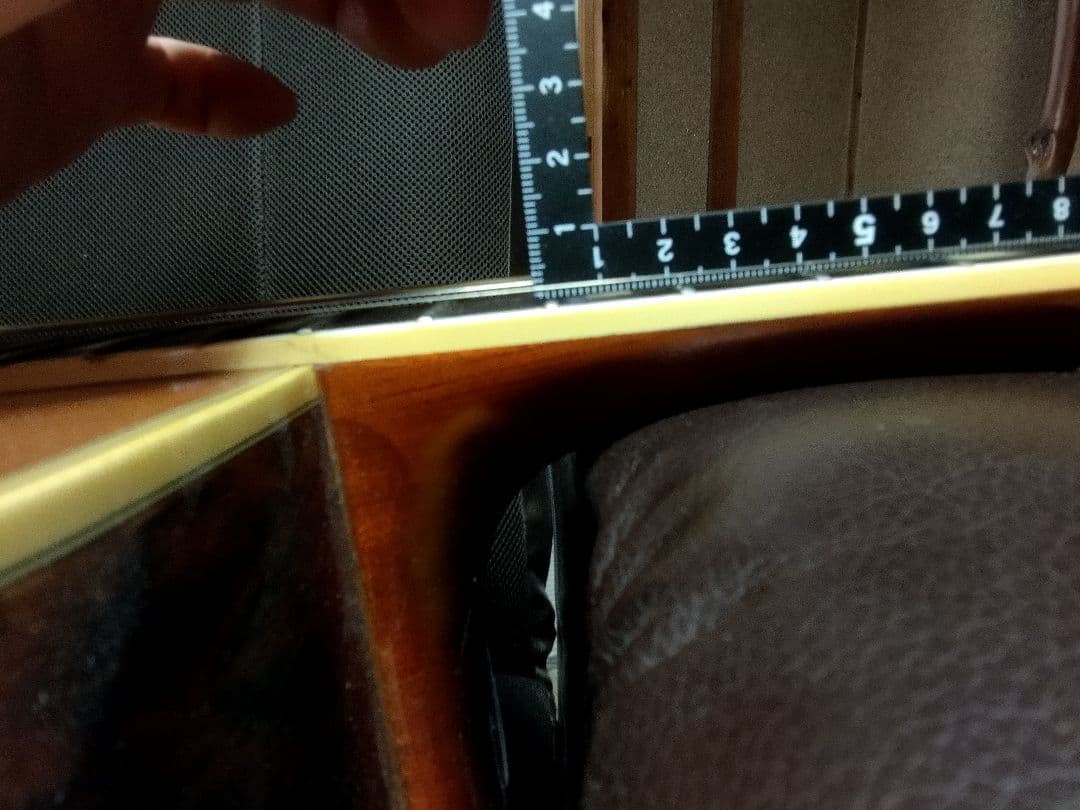 Vagi808　ハカランダ　超レア