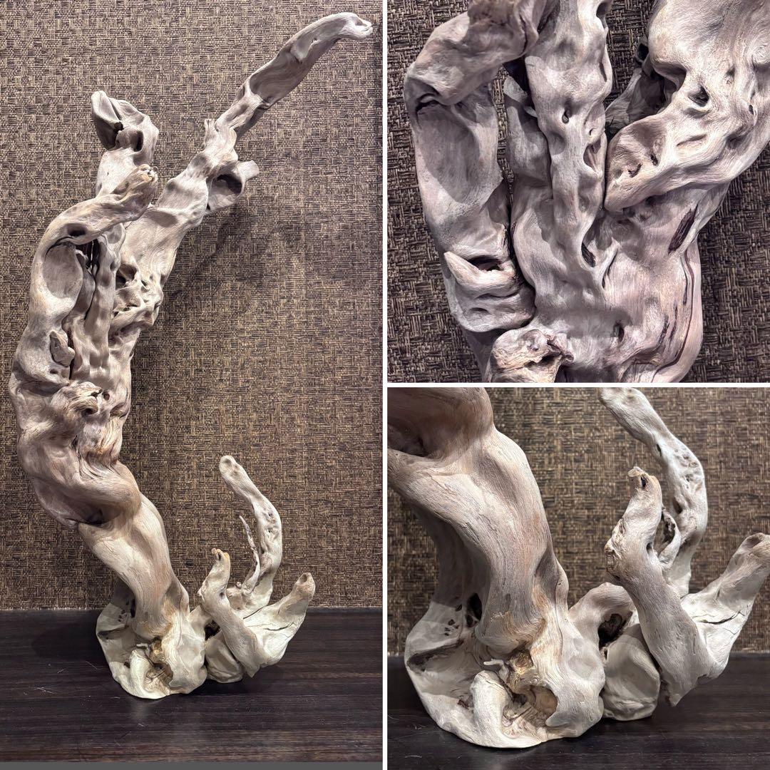 流木　うねうね大サイズ　インテリア用67.5cm自立可