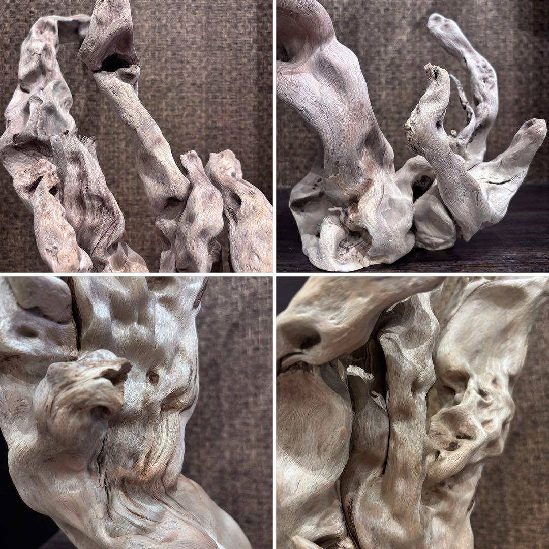 流木　うねうね大サイズ　インテリア用67.5cm自立可