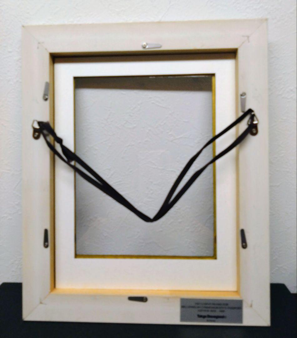 ★TDL★2000年★ミレニアムパスポート＆記念フレームセット★