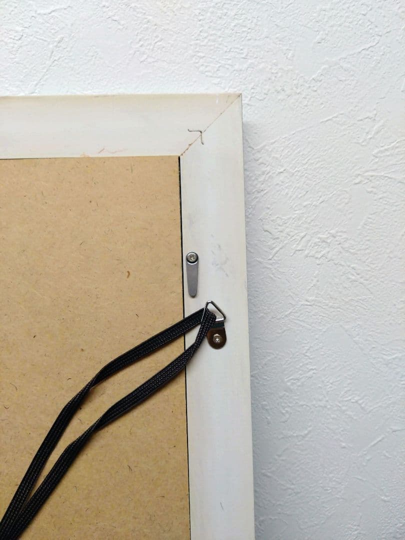 ★TDL★2000年★ミレニアムパスポート＆記念フレームセット★