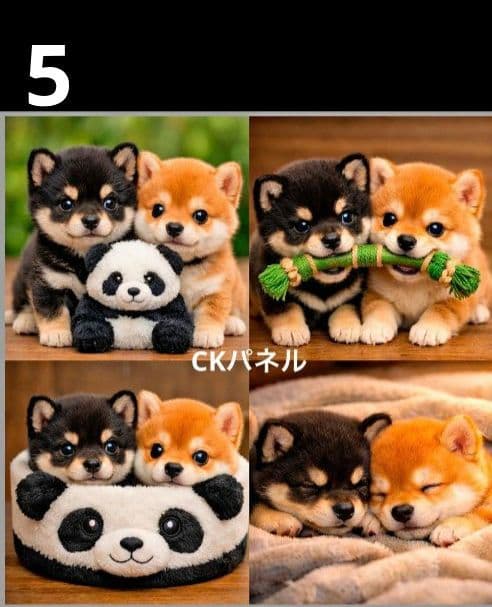 オーダーページ　ハンカチ620 パンダわんこ柄ハンドメイド3/17