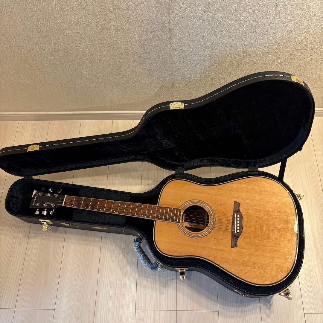 【希少素材・オール単板】HISTORY NT-L3 極美品 日本製 ハードケース