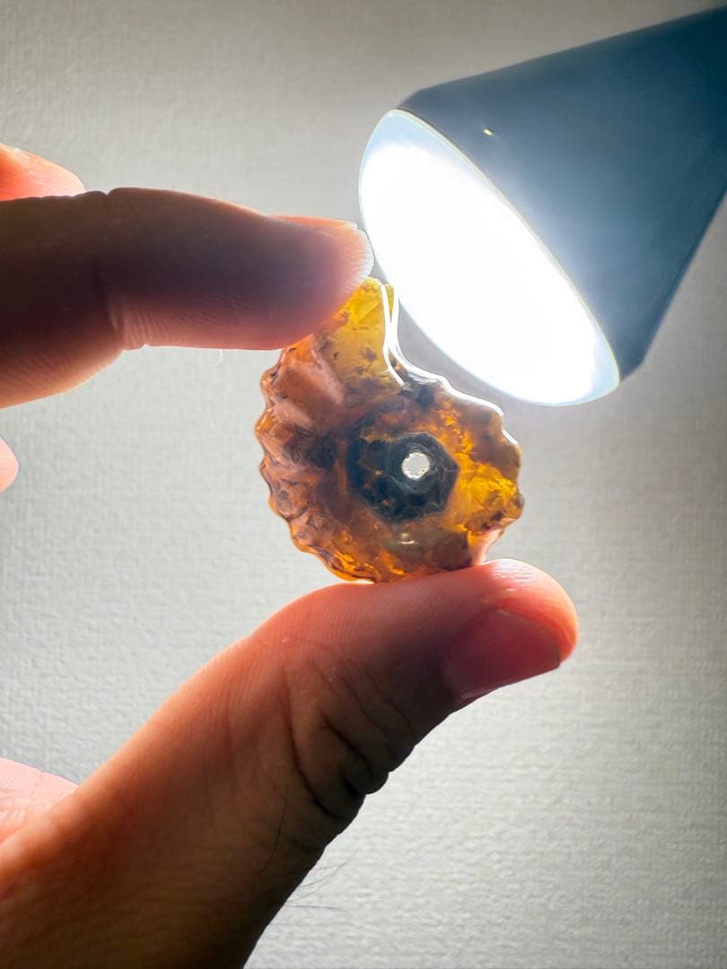 極美品マダガスカルのアンモナイト化石　2点セット　本物保証　希少　送料無料