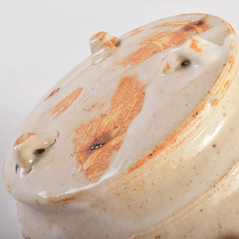 和食器　笠原窯　志野　向付　五客　共箱　V　R4988