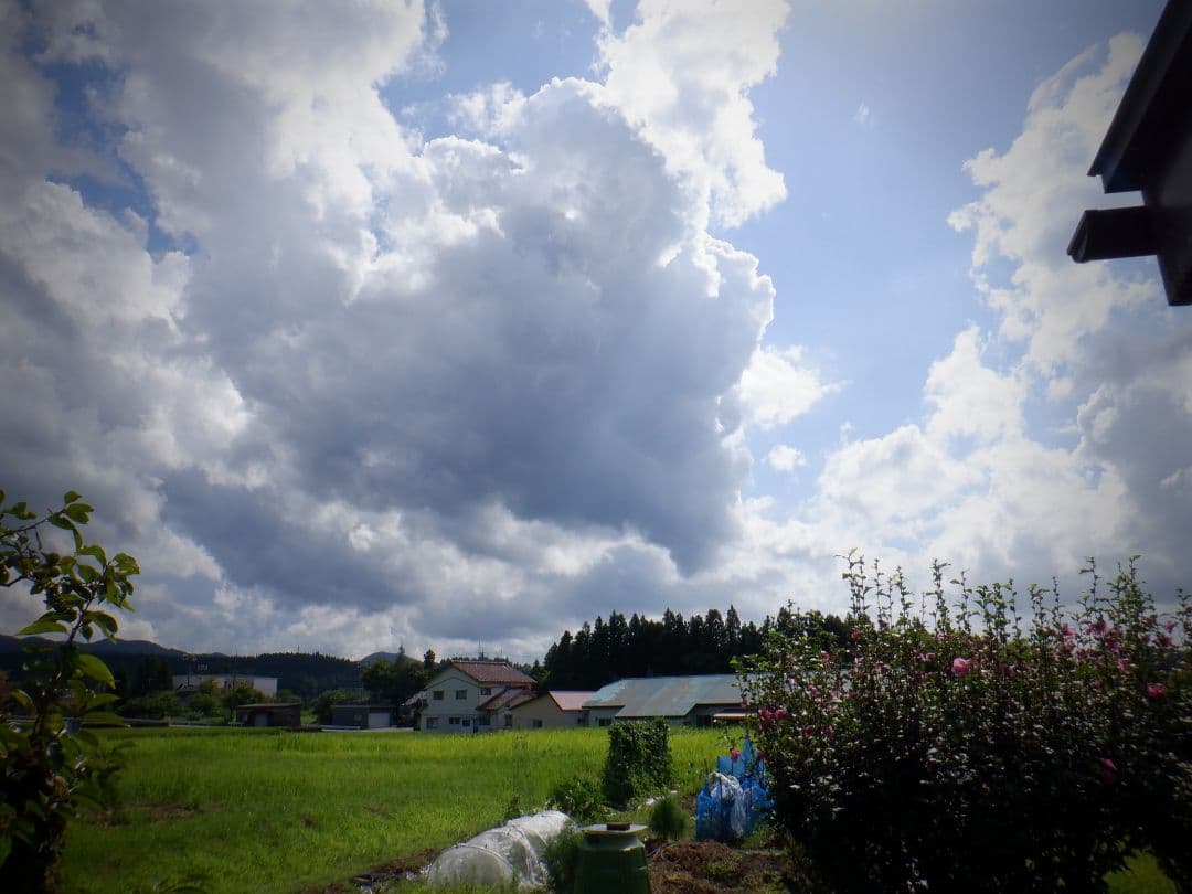 デジタルカメラ FUJIFILM DIGITAL CAMERA FINEPIX XP140