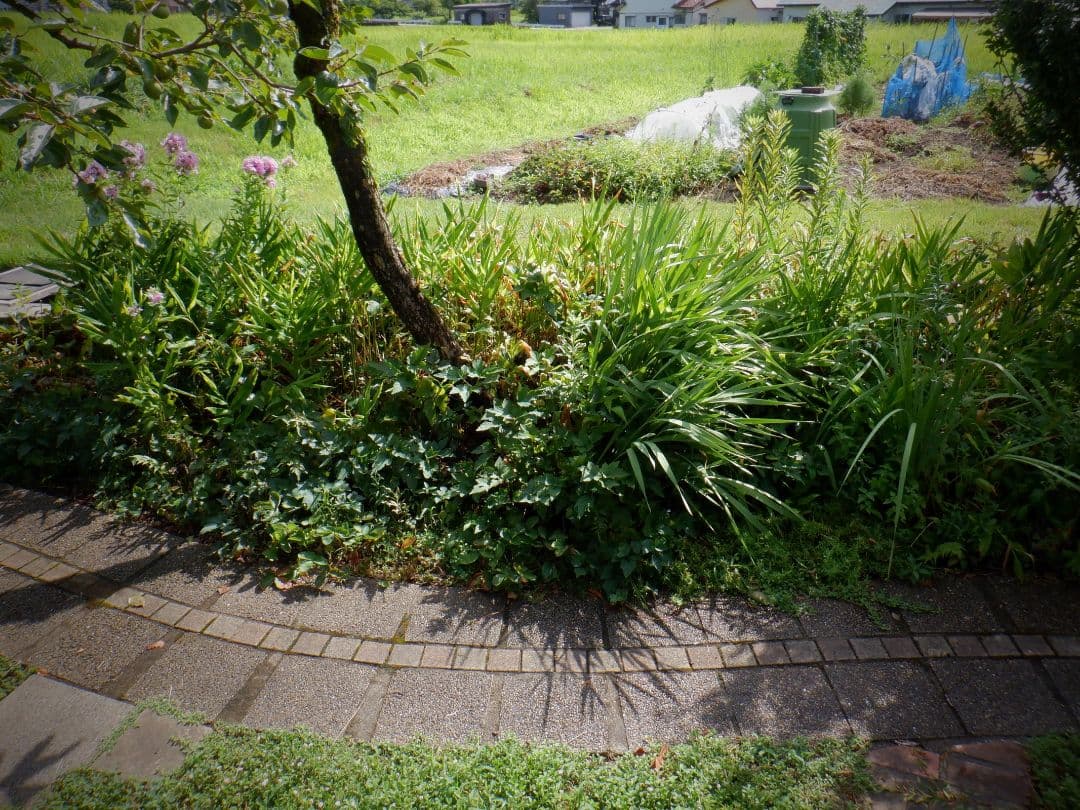 デジタルカメラ FUJIFILM DIGITAL CAMERA FINEPIX XP140