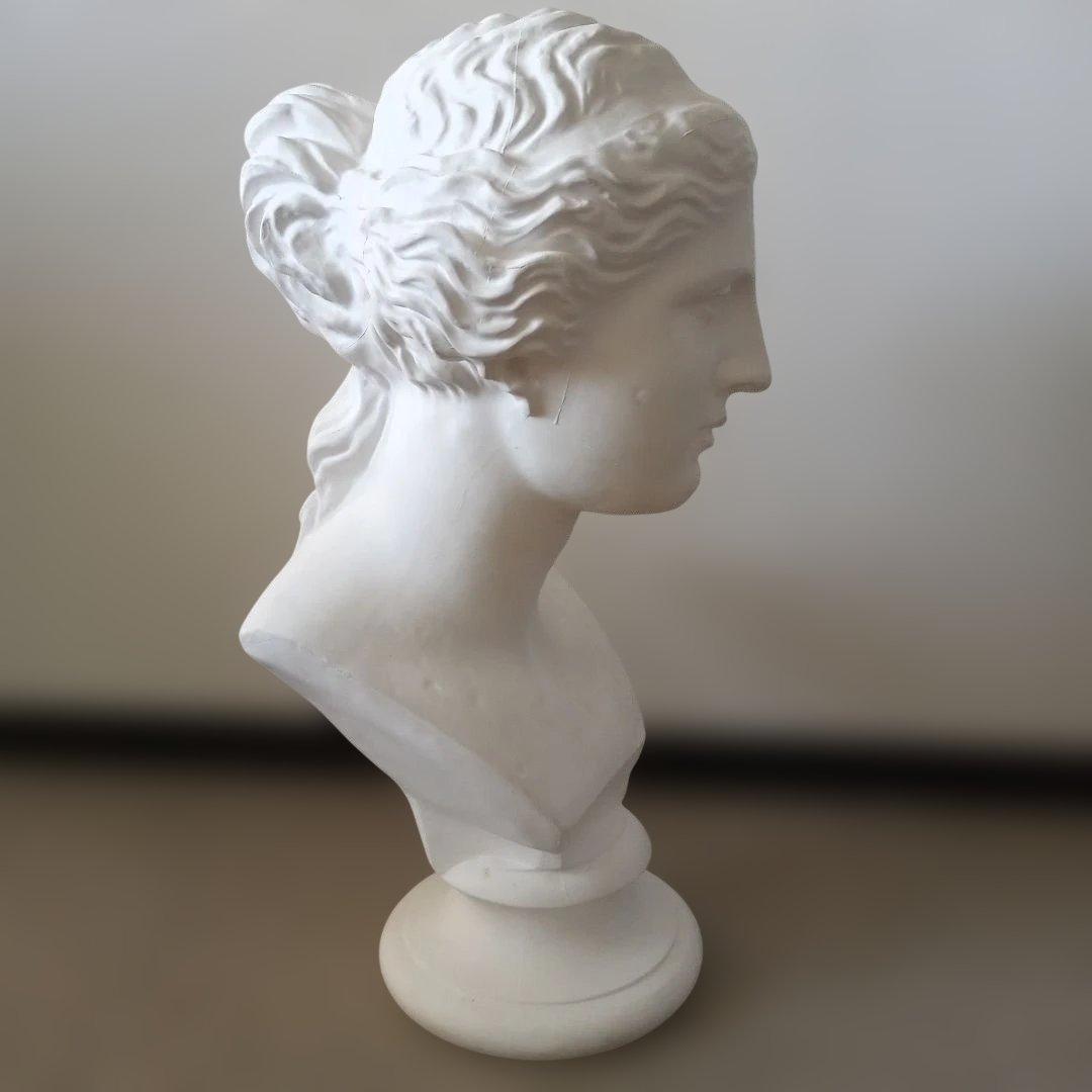 ミロのビーナス石膏像