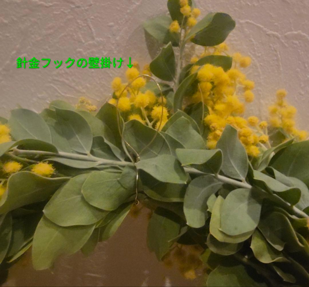 【朝摘みミモザ】丸くて可愛い♬リース！