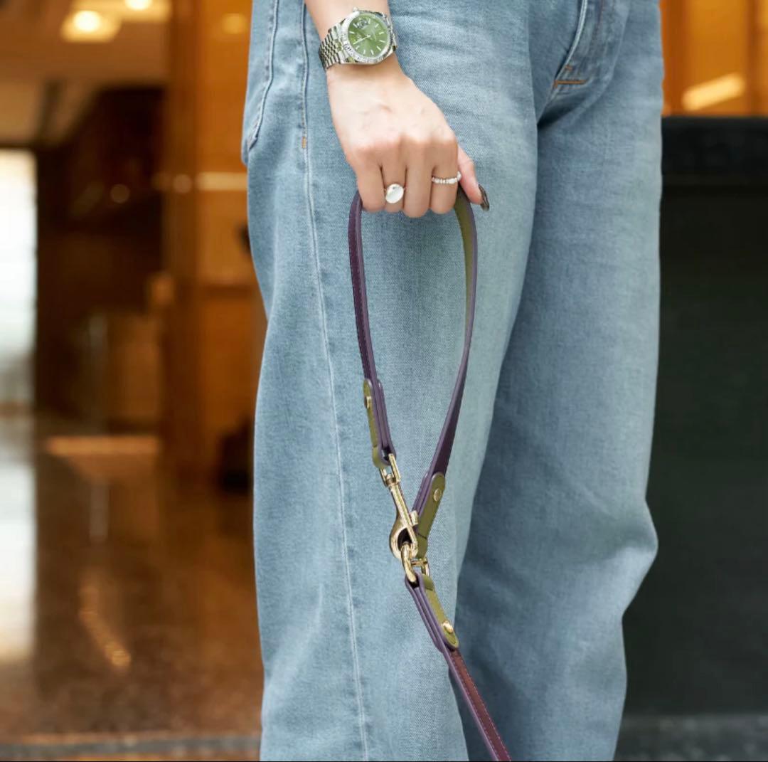中型犬用紫緑ハーネスとリードセット
