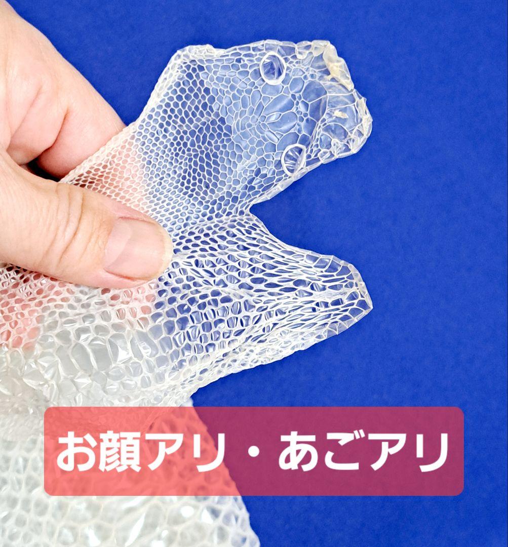白蛇の脱け殻❤干支❤巳年❤超美品❣️しかも‼️妊婦さん❣️