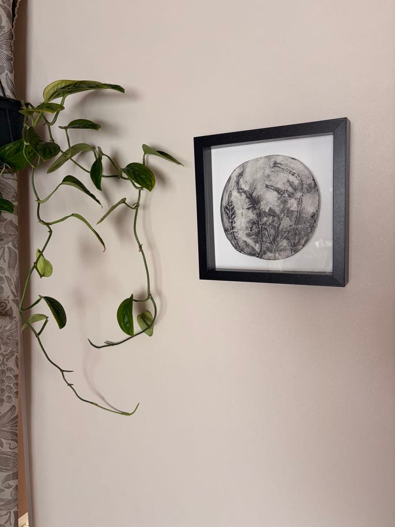 ボタニカルアート　植物標本　ウォールアート　額絵　植物画ハンドメイド