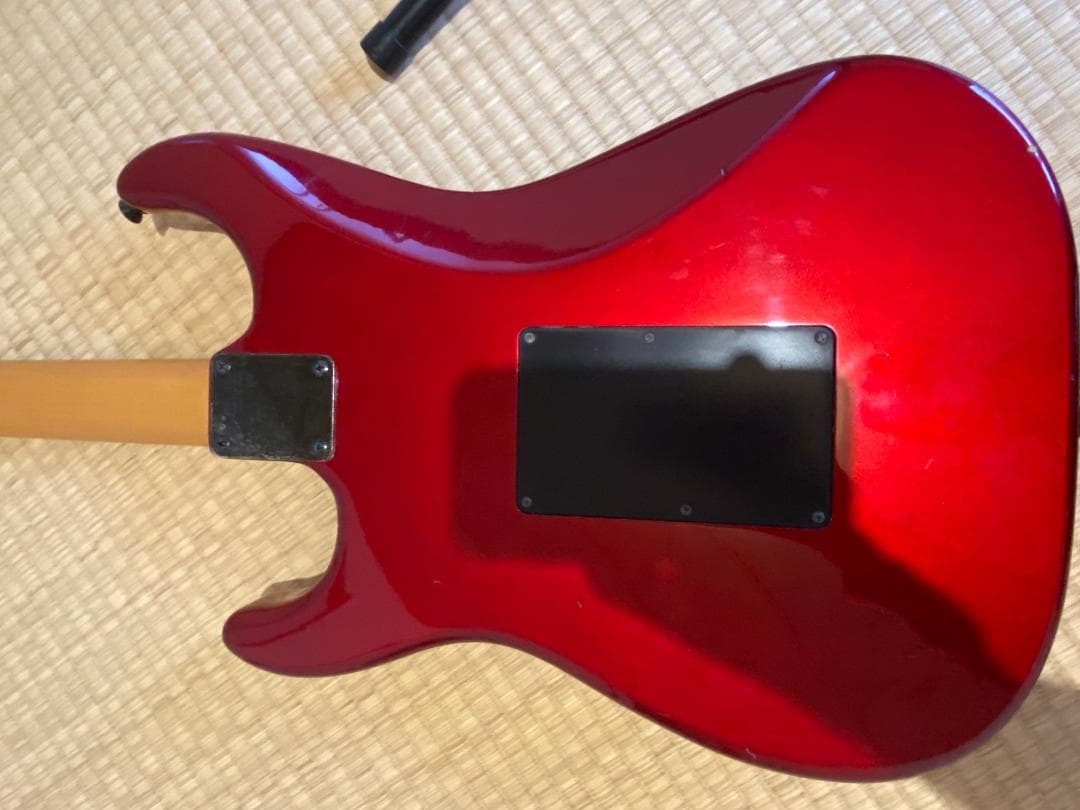 ギター Fernandes The Function