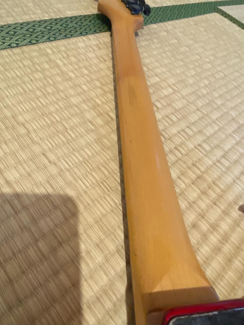 ギター Fernandes The Function