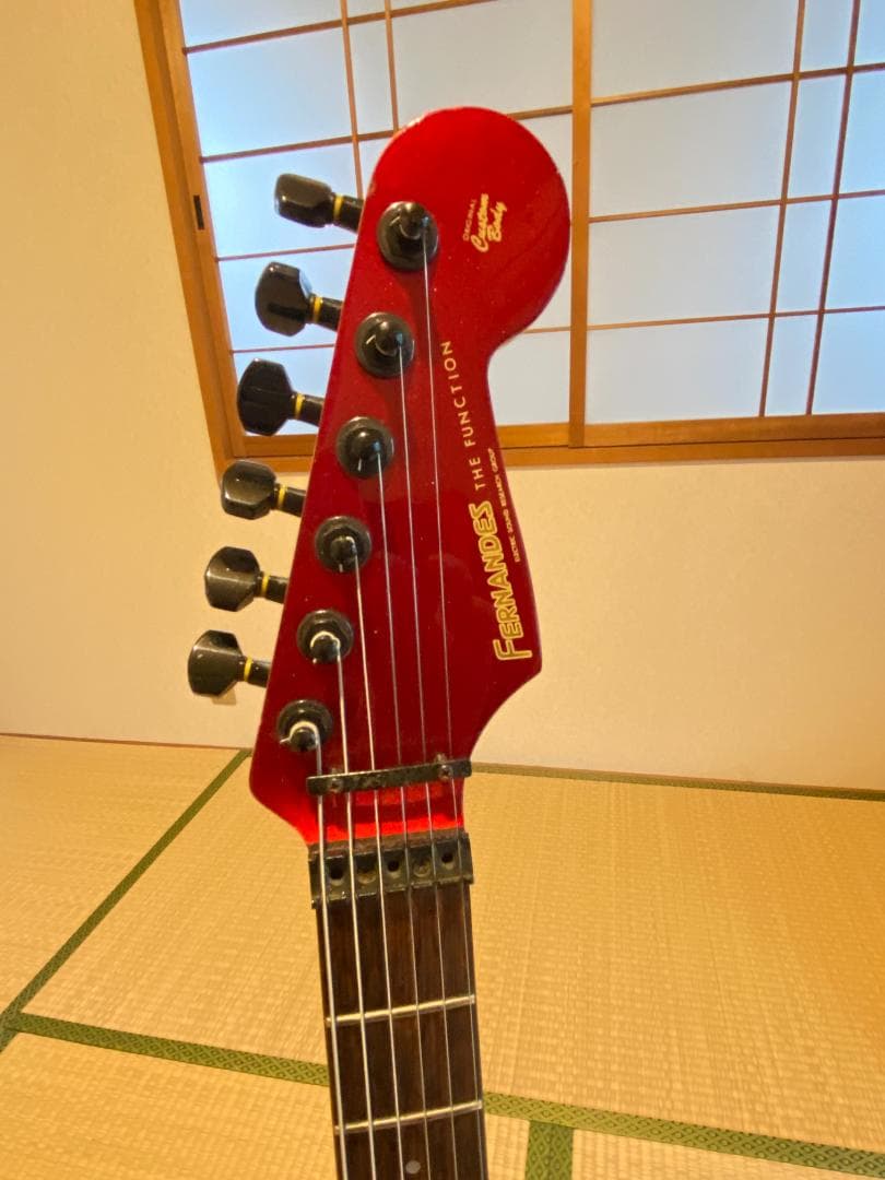 ギター Fernandes The Function
