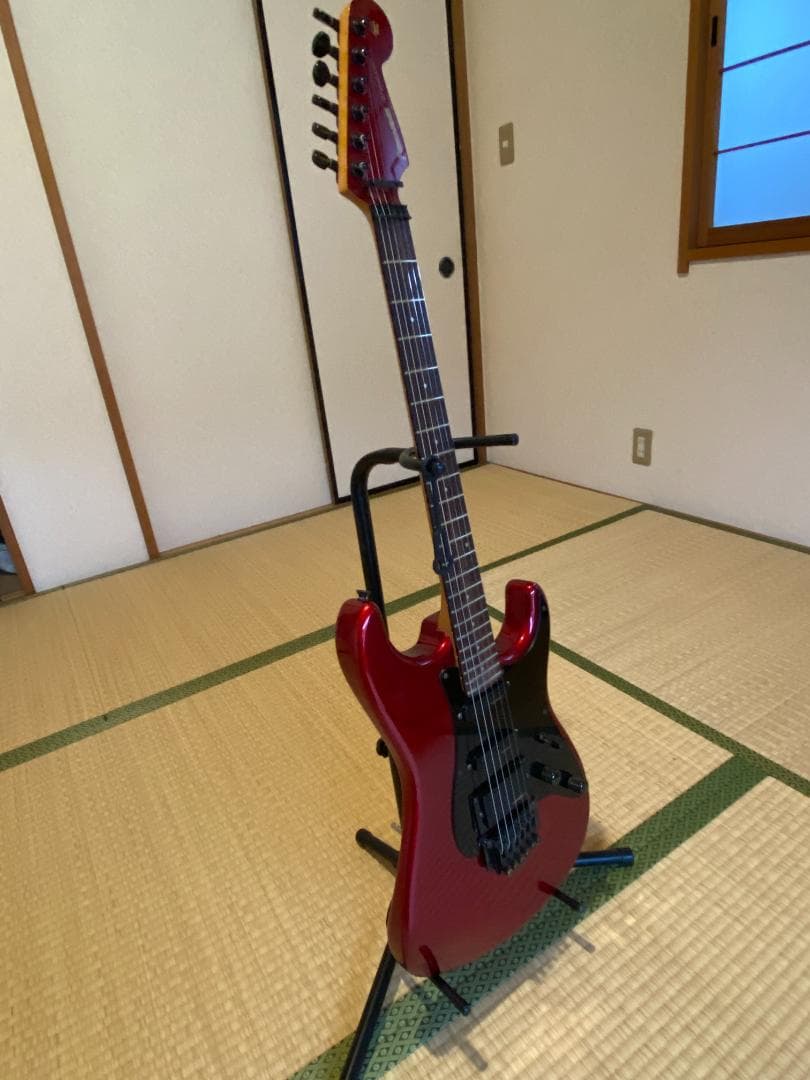 ギター Fernandes The Function