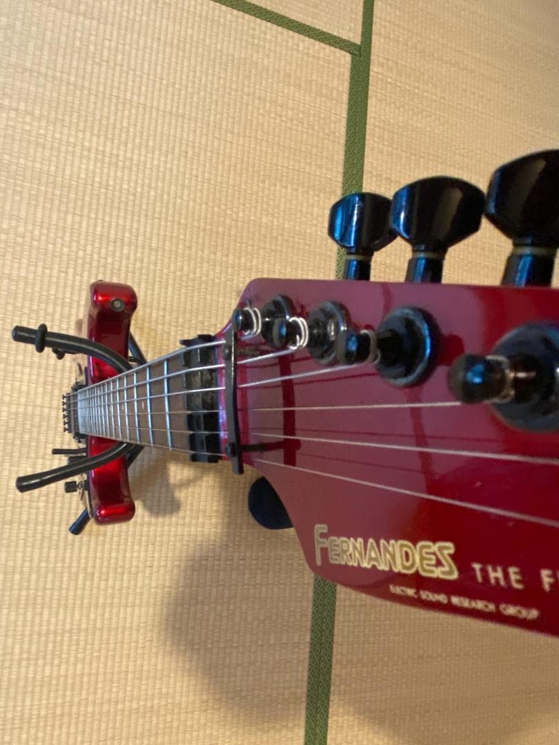 ギター Fernandes The Function