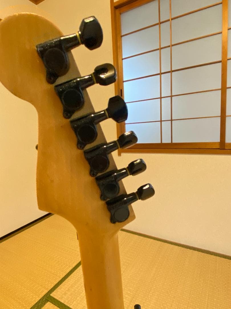 ギター Fernandes The Function