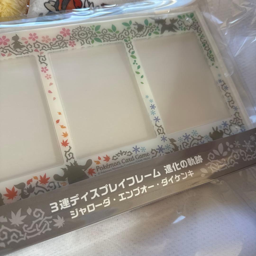 ポケモンカードゲーム 3連ディスプレイフレーム ジャローダエンブオー ダイゲンキ