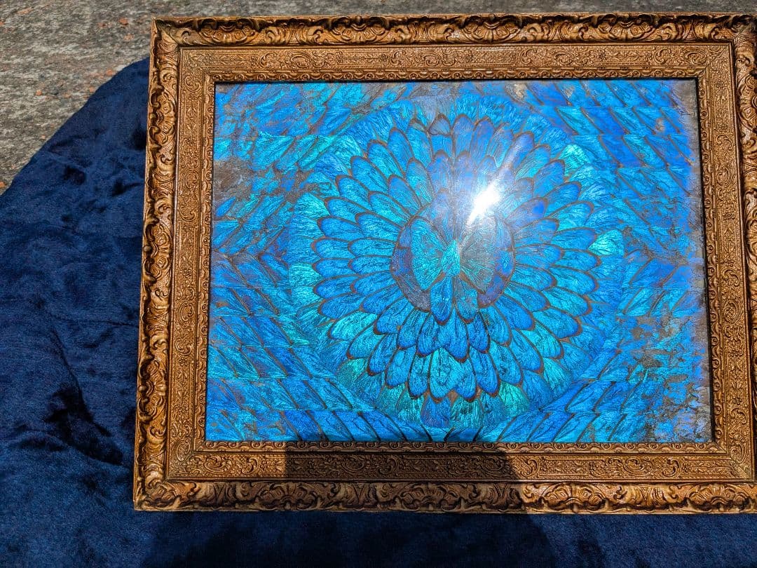 幸せの青いモルフォの羽根のART、長寿、亀アート35cm