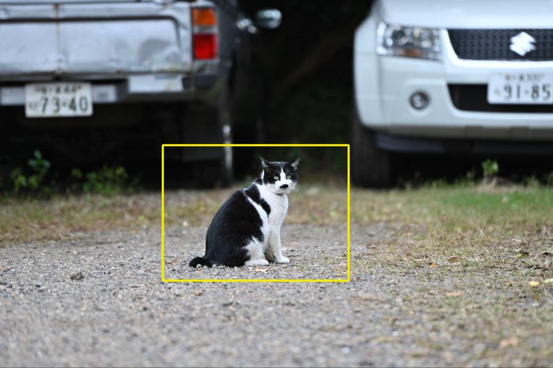 【美品】Nikon 大三元 70-200mm F2.8GII ED