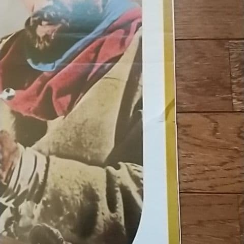 洋画映画ポスター 冬のライオン